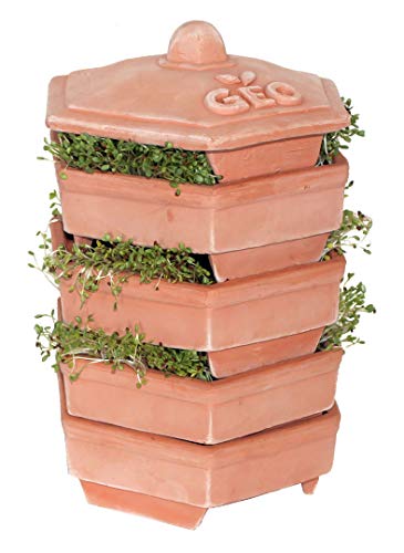 GEO - Germinador en barro, muy espaciosa para tener muchos brotes distintos