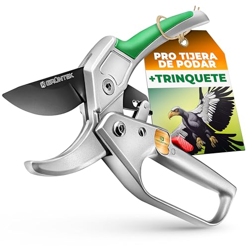 GRÜNTEK Tijera de Podar Yunque Recolectora con Trinquete. Cortarramas Profesional CÓNDOR 20cm