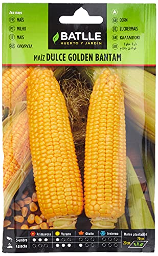 Semillas Batlle Maiz dulce GOLDEN BANTAM